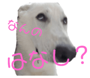 472606304