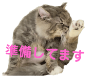 472606309