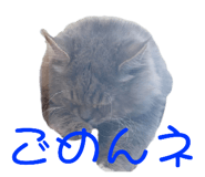 472606311