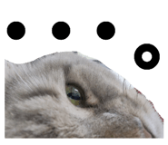 472606313
