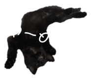 472606317
