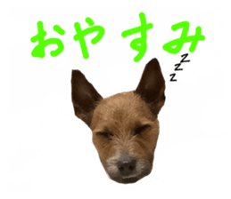 472607553