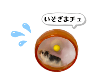 472620234