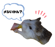 472620237