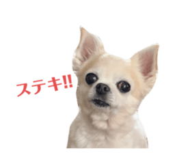 472774567