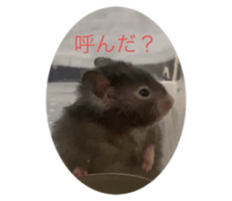 472779990