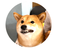 472799381