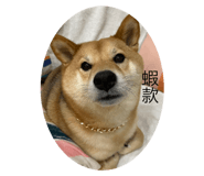 472799802