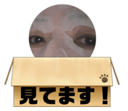 472868994
