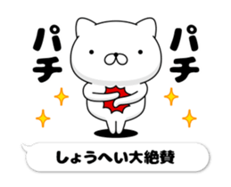 47296304