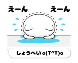 47296313