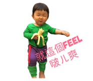 47318254