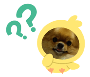 473260429