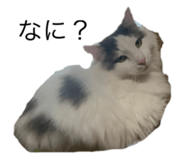 473337384