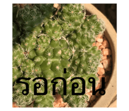 473360483