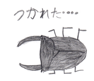 473387544