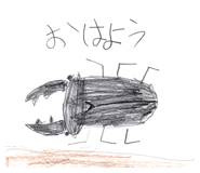 473387554