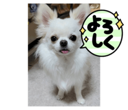 473607455