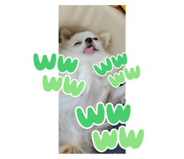 473607458