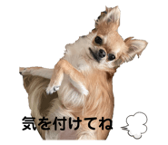 473627582