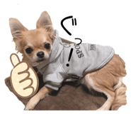473627587