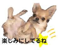 473627592