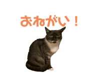 473630378