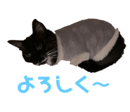 473630380