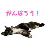 473630382