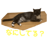 473630387