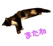 473630392