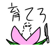 473633236
