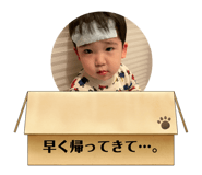 473653481