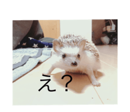 473666172