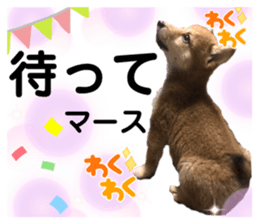 473708634
