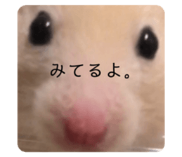 473727030
