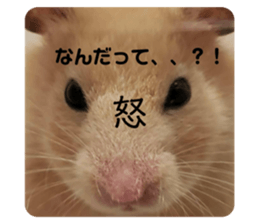 473727032