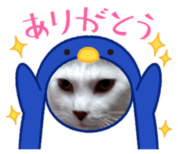 473831828