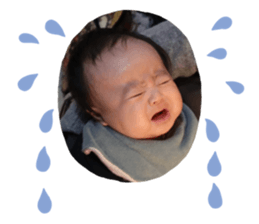 473841184