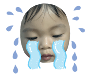 473933655