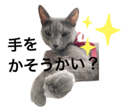 473983342