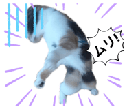 473983355