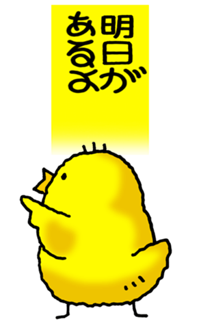 473999049