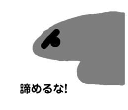 474147559