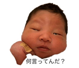 474463402