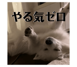 474710959