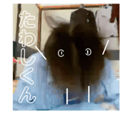 474722285