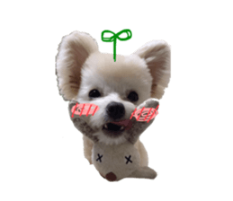 474765380