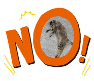 474785674