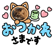 474785679